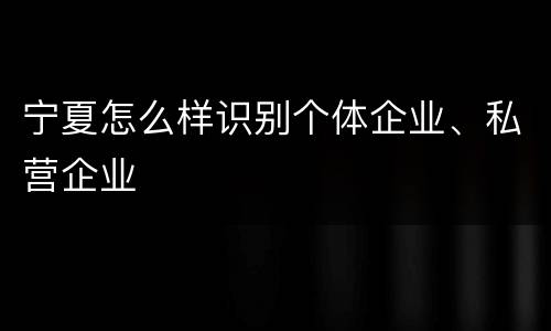 宁夏怎么样识别个体企业、私营企业