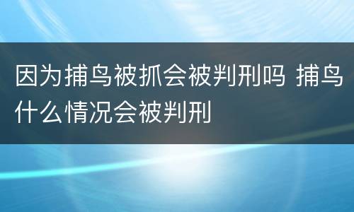 因为捕鸟被抓会被判刑吗 捕鸟什么情况会被判刑