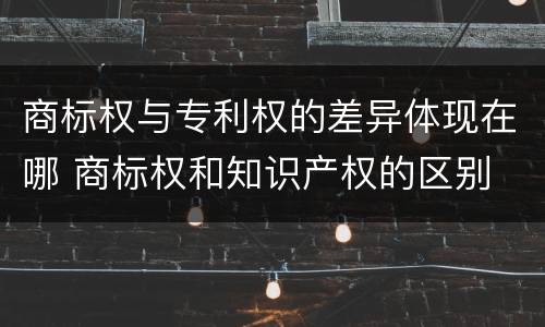 商标权与专利权的差异体现在哪 商标权和知识产权的区别