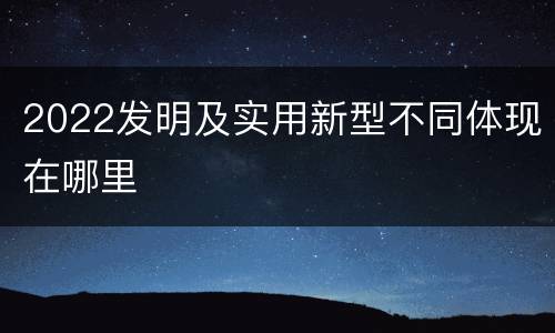 2022发明及实用新型不同体现在哪里