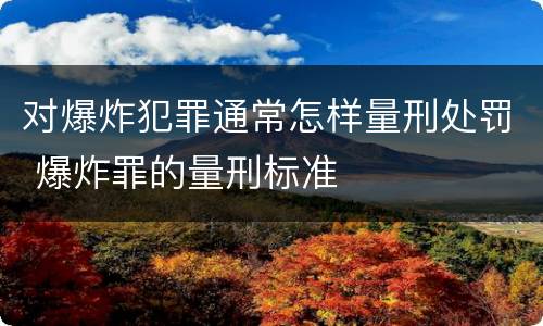 对爆炸犯罪通常怎样量刑处罚 爆炸罪的量刑标准