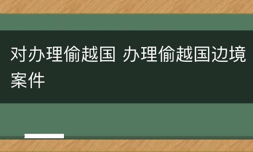 对办理偷越国 办理偷越国边境案件