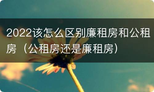 2022该怎么区别廉租房和公租房（公租房还是廉租房）