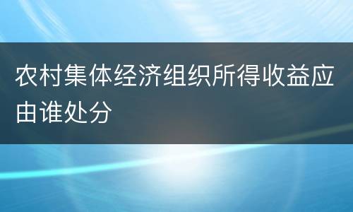 农村集体经济组织所得收益应由谁处分