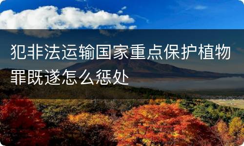 犯非法运输国家重点保护植物罪既遂怎么惩处