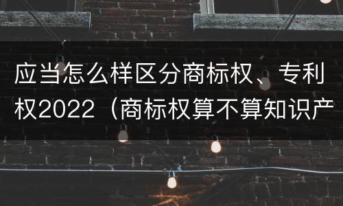 应当怎么样区分商标权、专利权2022（商标权算不算知识产权）
