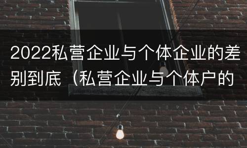 2022私营企业与个体企业的差别到底（私营企业与个体户的区别）