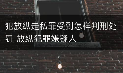 犯放纵走私罪受到怎样判刑处罚 放纵犯罪嫌疑人