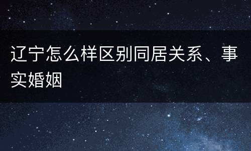 辽宁怎么样区别同居关系、事实婚姻