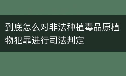 到底怎么对非法种植毒品原植物犯罪进行司法判定