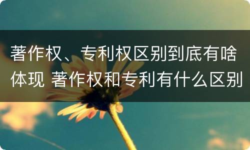 著作权、专利权区别到底有啥体现 著作权和专利有什么区别