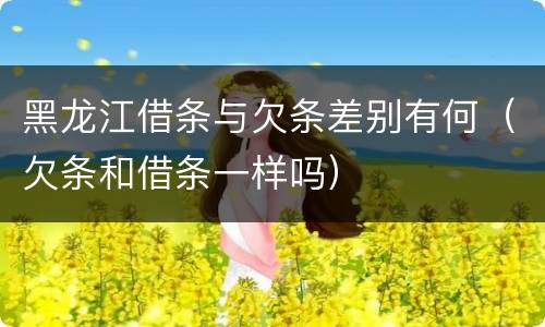 黑龙江借条与欠条差别有何（欠条和借条一样吗）