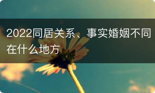 2022同居关系、事实婚姻不同在什么地方