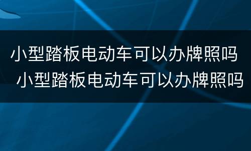 小型踏板电动车可以办牌照吗 小型踏板电动车可以办牌照吗