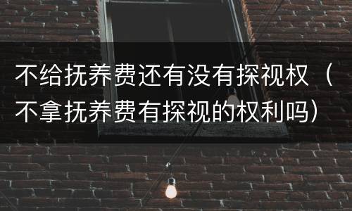 不给抚养费还有没有探视权（不拿抚养费有探视的权利吗）
