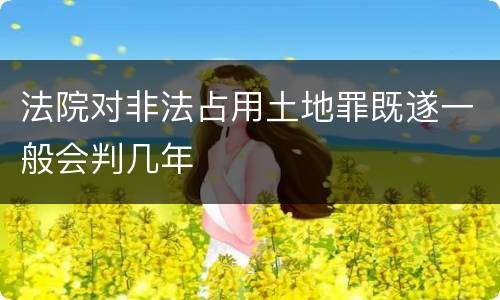 法院对非法占用土地罪既遂一般会判几年