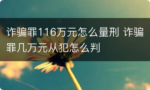 诈骗罪116万元怎么量刑 诈骗罪几万元从犯怎么判