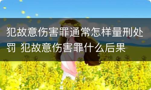 犯故意伤害罪通常怎样量刑处罚 犯故意伤害罪什么后果