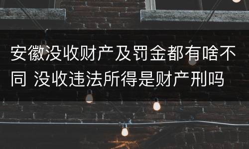安徽没收财产及罚金都有啥不同 没收违法所得是财产刑吗