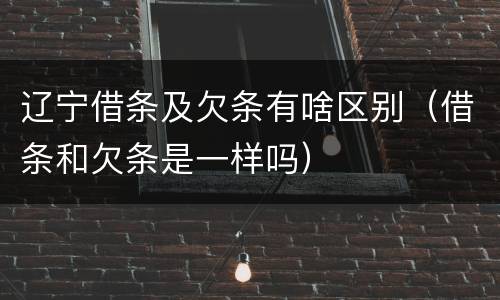 辽宁借条及欠条有啥区别（借条和欠条是一样吗）