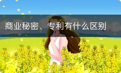 商业秘密、专利有什么区别