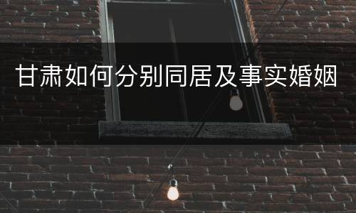 甘肃如何分别同居及事实婚姻