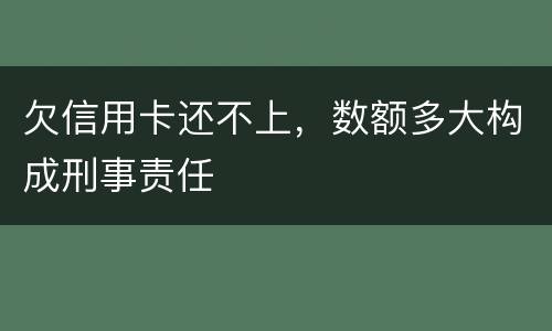 欠信用卡还不上，数额多大构成刑事责任