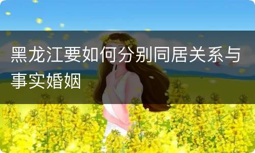 黑龙江要如何分别同居关系与事实婚姻