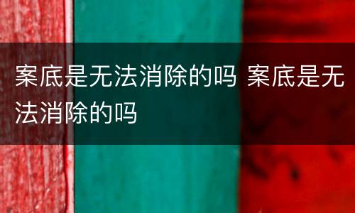 案底是无法消除的吗 案底是无法消除的吗
