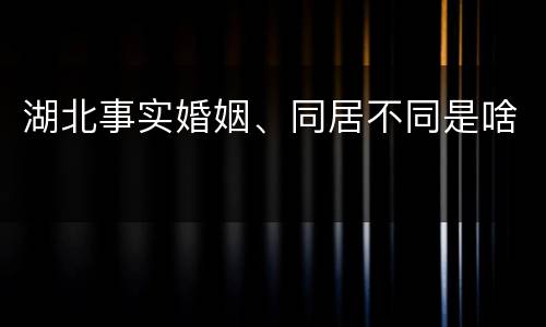 湖北事实婚姻、同居不同是啥