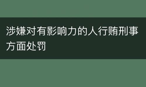 涉嫌对有影响力的人行贿刑事方面处罚