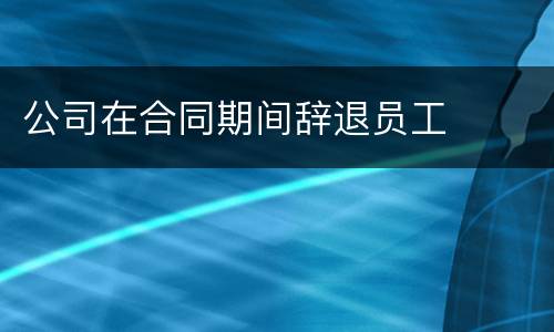 公司在合同期间辞退员工