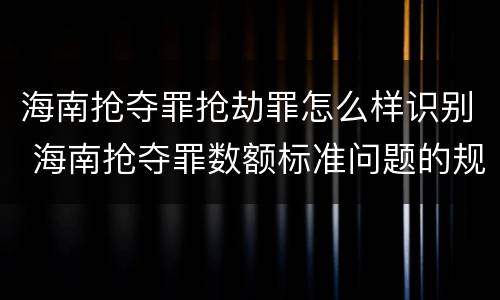 海南抢夺罪抢劫罪怎么样识别 海南抢夺罪数额标准问题的规定