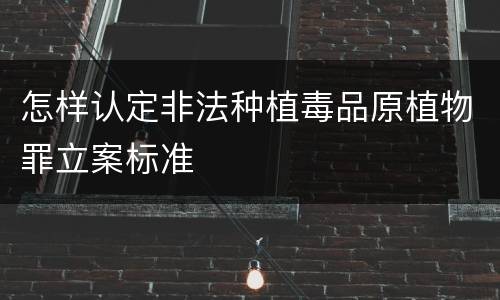 怎样认定非法种植毒品原植物罪立案标准