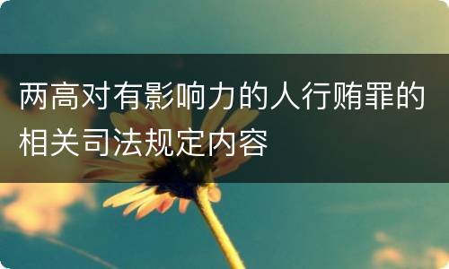 两高对有影响力的人行贿罪的相关司法规定内容
