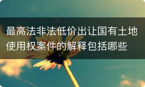 最高法非法低价出让国有土地使用权案件的解释包括哪些