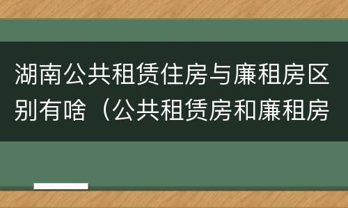 湖南公共租赁住房与廉租房区别有啥（公共租赁房和廉租房）