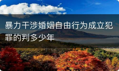 暴力干涉婚姻自由行为成立犯罪的判多少年