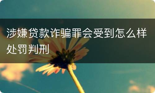 涉嫌贷款诈骗罪会受到怎么样处罚判刑