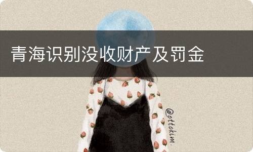 青海识别没收财产及罚金