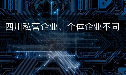 四川私营企业、个体企业不同