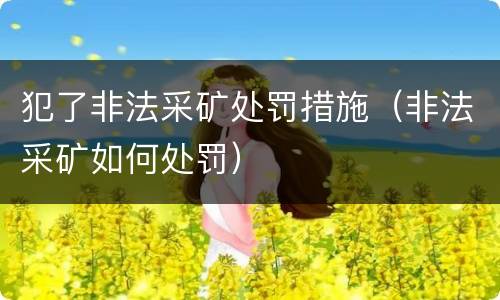 犯了非法采矿处罚措施（非法采矿如何处罚）