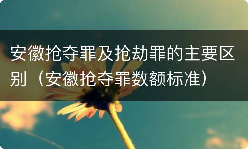 安徽抢夺罪及抢劫罪的主要区别（安徽抢夺罪数额标准）