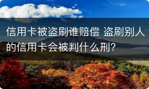 信用卡被盗刷谁赔偿 盗刷别人的信用卡会被判什么刑?