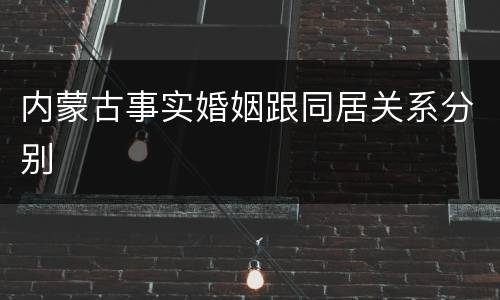内蒙古事实婚姻跟同居关系分别