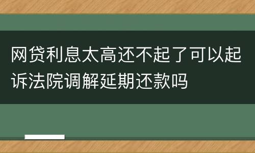 网贷利息太高还不起了可以起诉法院调解延期还款吗
