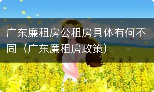 广东廉租房公租房具体有何不同（广东廉租房政策）