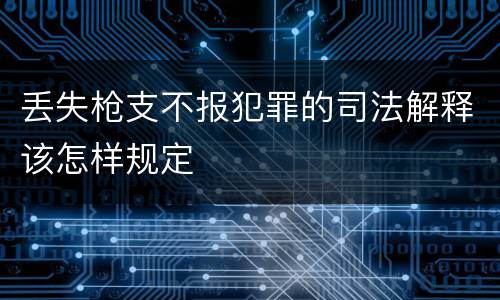 丢失枪支不报犯罪的司法解释该怎样规定