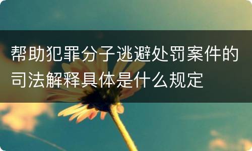 帮助犯罪分子逃避处罚案件的司法解释具体是什么规定