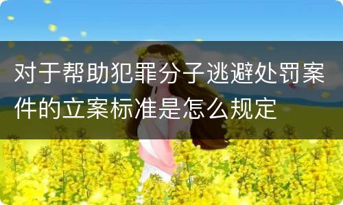 对于帮助犯罪分子逃避处罚案件的立案标准是怎么规定